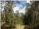 Lot 33 Pine Trees Ridge Fire Trail, Newton Boyd NSW 2370