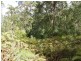 Lot 33 Pine Trees Ridge Fire Trail, Newton Boyd NSW 2370
