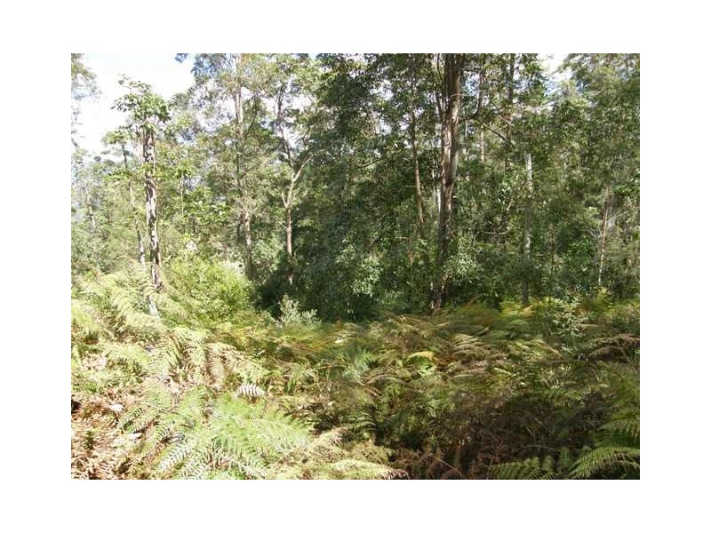 Lot 33 Pine Trees Ridge Fire Trail, Newton Boyd NSW 2370