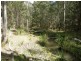 Lot 33 Pine Trees Ridge Fire Trail, Newton Boyd NSW 2370
