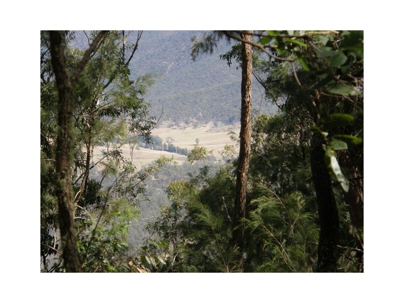 Lot 33 Pine Trees Ridge Fire Trail, Newton Boyd NSW 2370