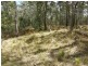 Lot 33 Pine Trees Ridge Fire Trail, Newton Boyd NSW 2370