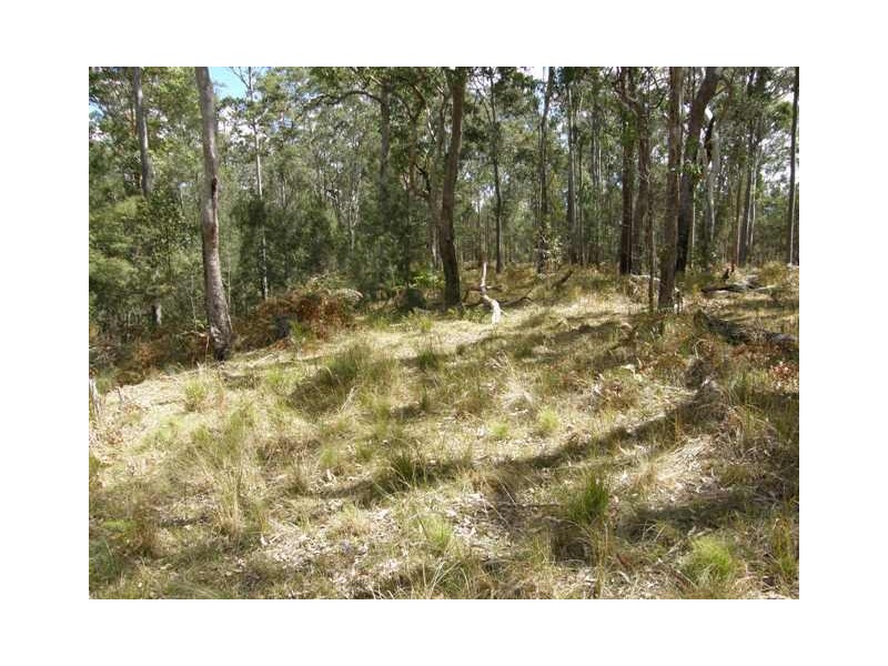 Lot 33 Pine Trees Ridge Fire Trail, Newton Boyd NSW 2370