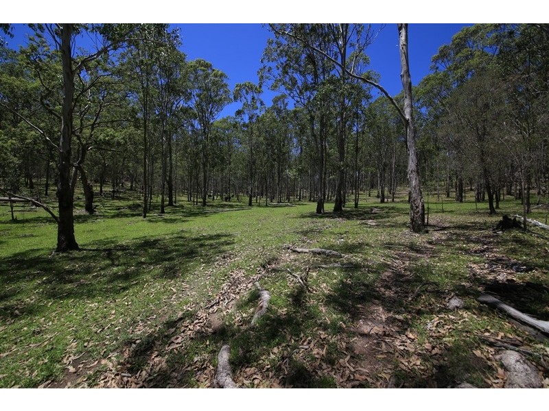 3001 Blacksmith Shop Road, Newton Boyd NSW 2370