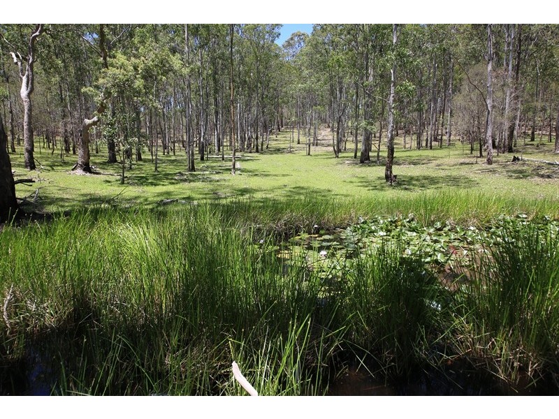 3001 Blacksmith Shop Road, Newton Boyd NSW 2370