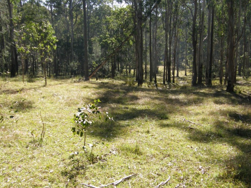 3001 Blacksmith Shop Road, Newton Boyd NSW 2370