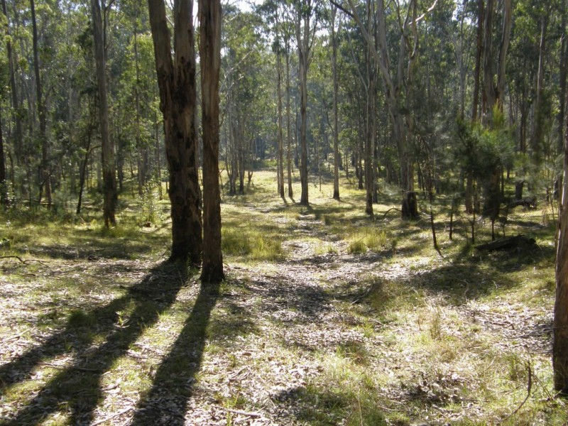 3001 Blacksmith Shop Road, Newton Boyd NSW 2370