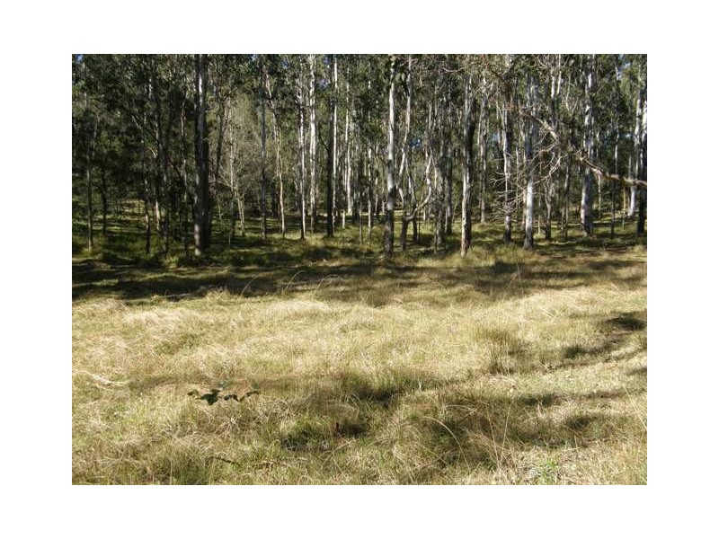 3001 Blacksmith Shop Road, Newton Boyd NSW 2370