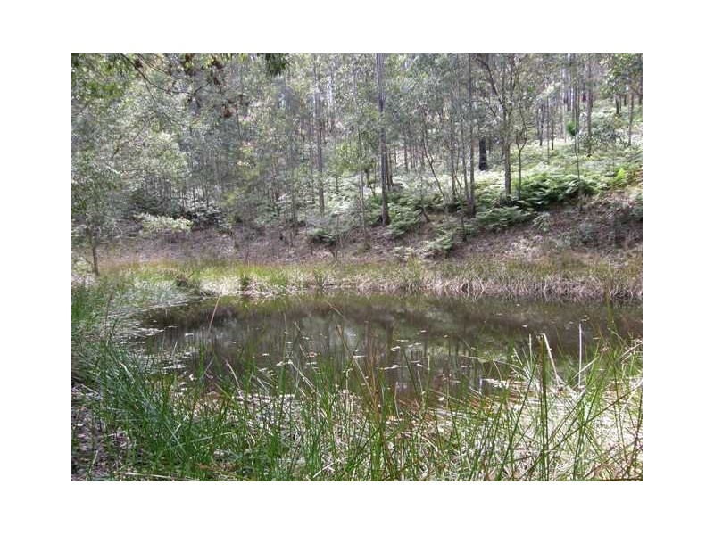 2493 Blacksmith Shop Rd, Newton Boyd NSW 2370