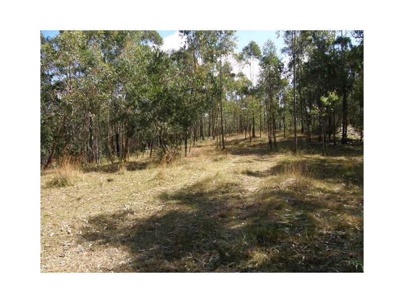 2493 Blacksmith Shop Rd, Newton Boyd NSW 2370