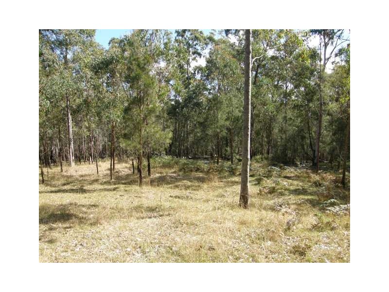 2493 Blacksmith Shop Rd, Newton Boyd NSW 2370