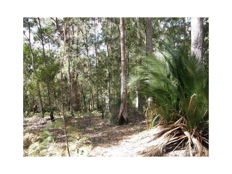 2493 Blacksmith Shop Rd, Newton Boyd NSW 2370