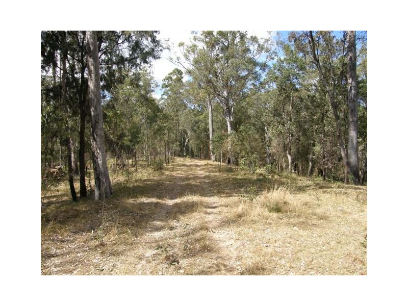 2493 Blacksmith Shop Rd, Newton Boyd NSW 2370