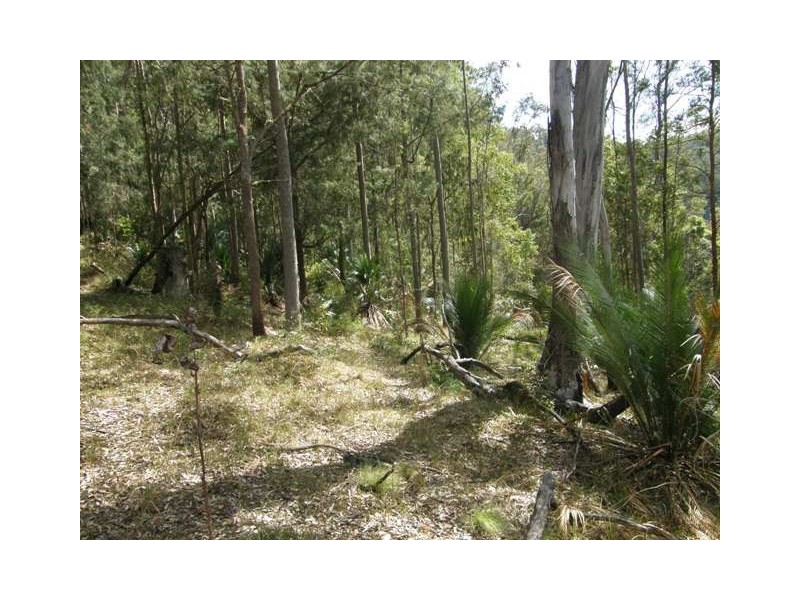 2493 Blacksmith Shop Rd, Newton Boyd NSW 2370