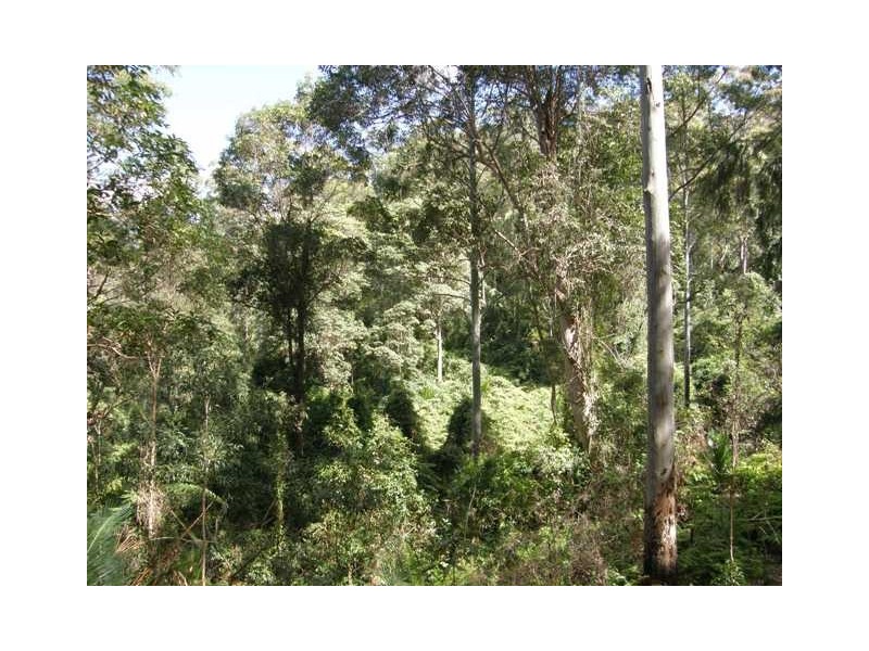 2493 Blacksmith Shop Rd, Newton Boyd NSW 2370