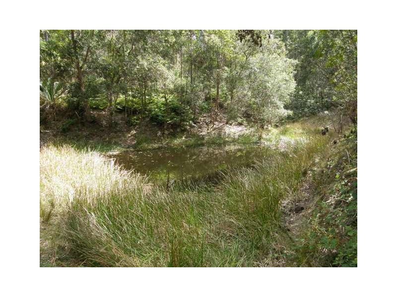 2493 Blacksmith Shop Rd, Newton Boyd NSW 2370