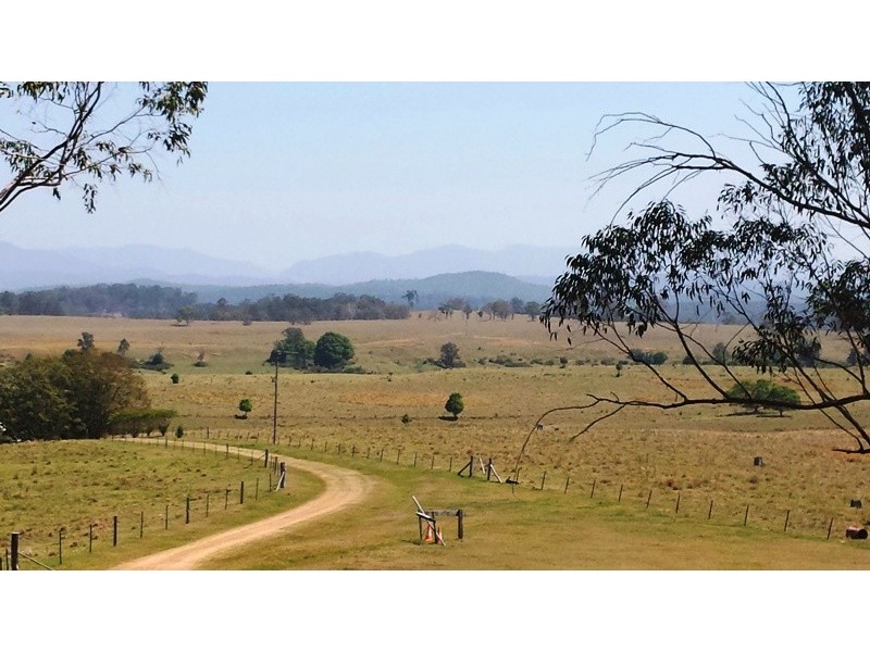 2513 Clarence Way, Upper Copmanhurst NSW 2460