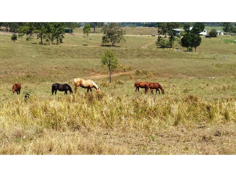 2513 Clarence Way, Upper Copmanhurst NSW 2460