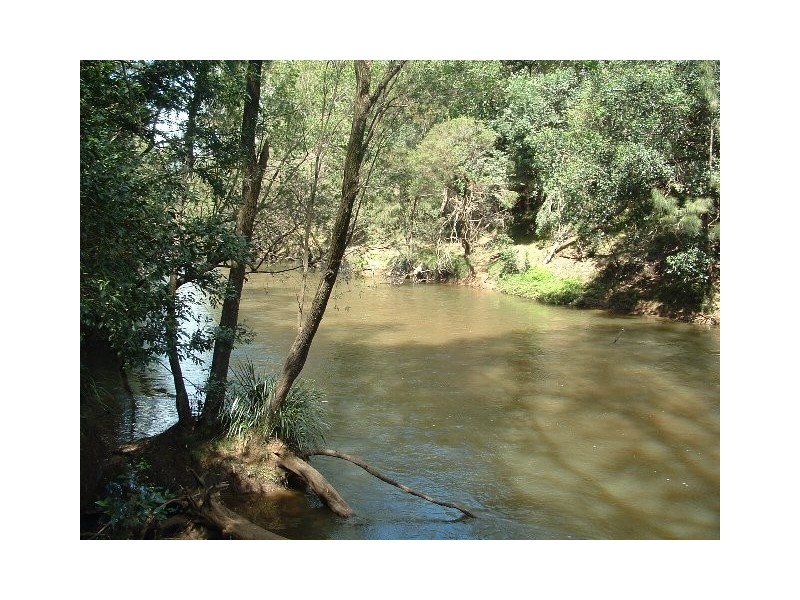 1158 Rushforth Road, Rushforth NSW 2460