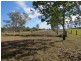 1158 Rushforth Road, Rushforth NSW 2460