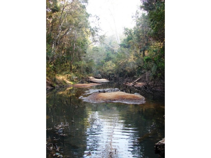 Lot 56 Sportsman Creek Conservation Area, Dilkoon NSW 2460