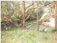 Lot 56 Sportsman Creek Conservation Area, Dilkoon NSW 2460