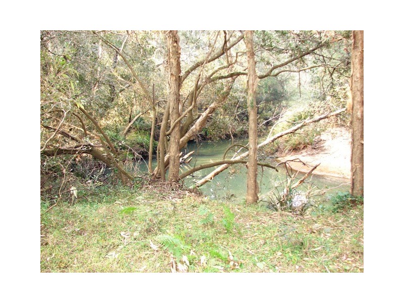 Lot 56 Sportsman Creek Conservation Area, Dilkoon NSW 2460