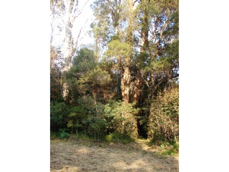 Lot 56 Sportsman Creek Conservation Area, Dilkoon NSW 2460