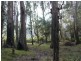 Lot 56 Sportsman Creek Conservation Area, Dilkoon NSW 2460