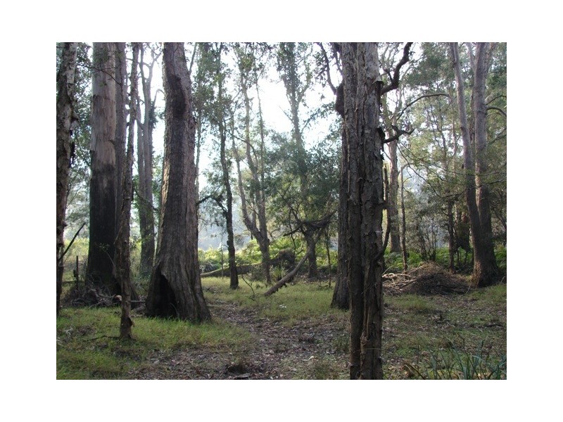 Lot 56 Sportsman Creek Conservation Area, Dilkoon NSW 2460