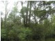 Lot 56 Sportsman Creek Conservation Area, Dilkoon NSW 2460