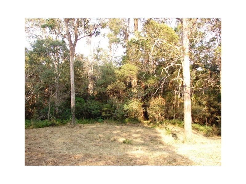 Lot 56 Sportsman Creek Conservation Area, Dilkoon NSW 2460
