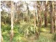 Lot 56 Sportsman Creek Conservation Area, Dilkoon NSW 2460