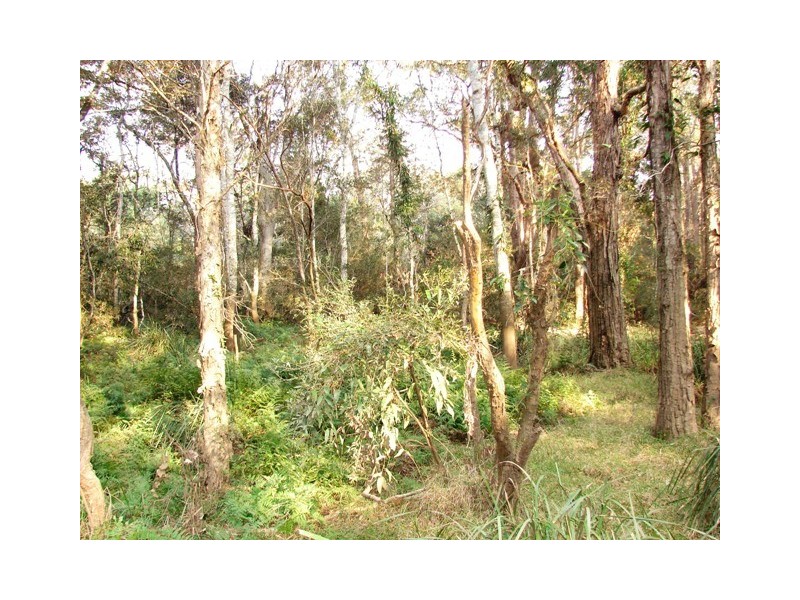 Lot 56 Sportsman Creek Conservation Area, Dilkoon NSW 2460