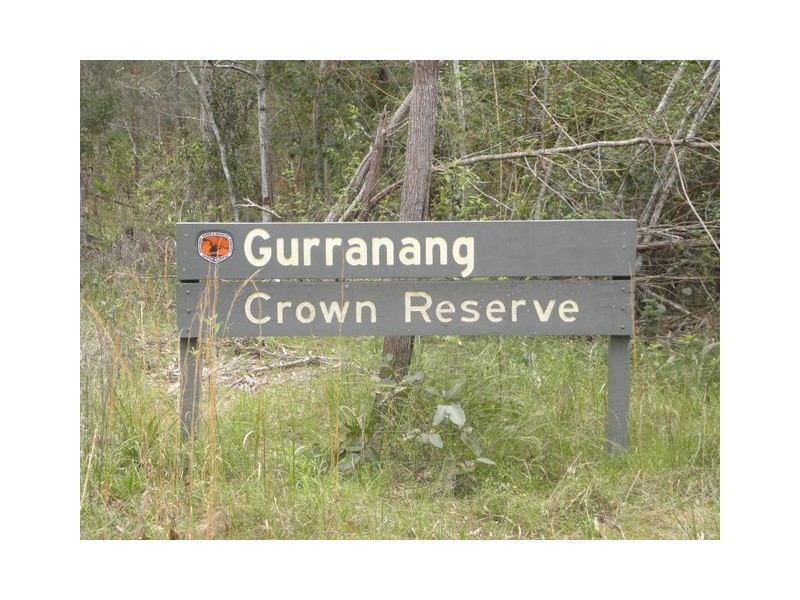 Lot 56 Sportsman Creek Conservation Area, Dilkoon NSW 2460