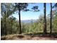 2621 Blacksmith Shop Road, Newton Boyd NSW 2370