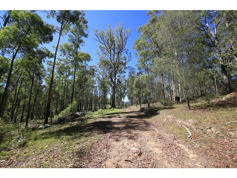 2621 Blacksmith Shop Road, Newton Boyd NSW 2370