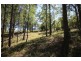 2621 Blacksmith Shop Road, Newton Boyd NSW 2370