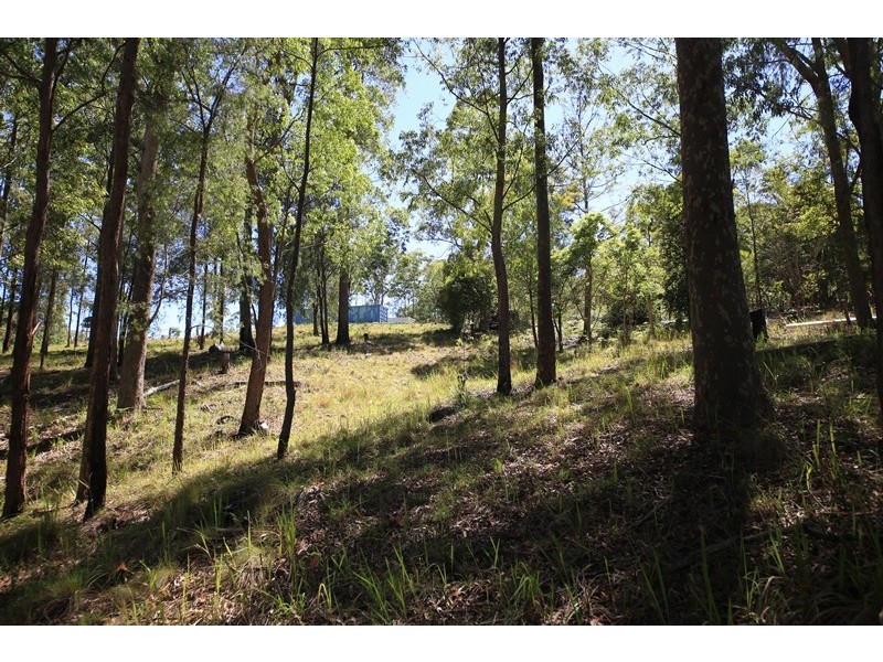 2621 Blacksmith Shop Road, Newton Boyd NSW 2370