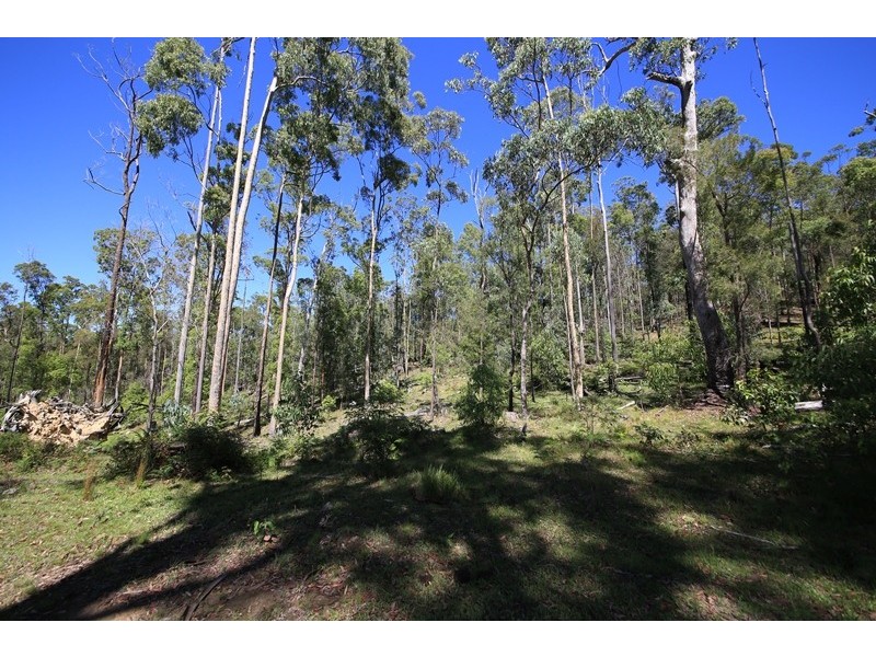 2621 Blacksmith Shop Road, Newton Boyd NSW 2370