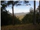 2621 Blacksmith Shop Road, Newton Boyd NSW 2370