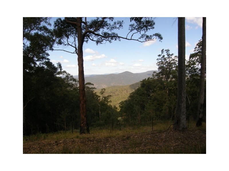 2621 Blacksmith Shop Road, Newton Boyd NSW 2370