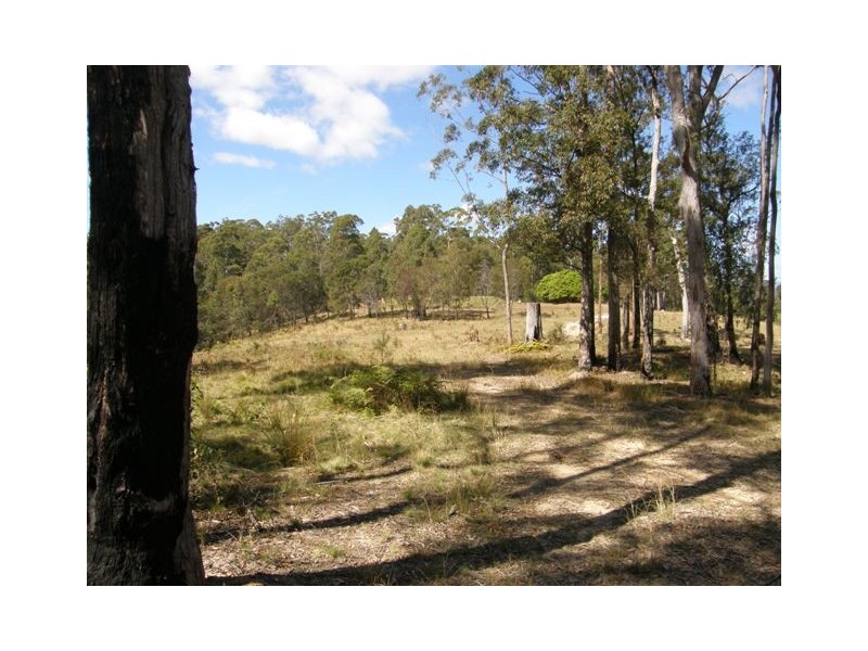 2621 Blacksmith Shop Road, Newton Boyd NSW 2370