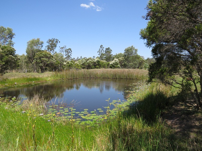 8 Duggan Close, Warragai Creek NSW 2460