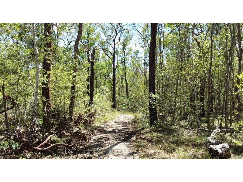 Lot 7 Rogan Bridge Road, Copmanhurst NSW 2460