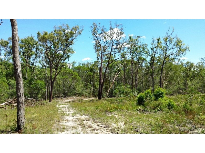 Lot 7 Rogan Bridge Road, Copmanhurst NSW 2460