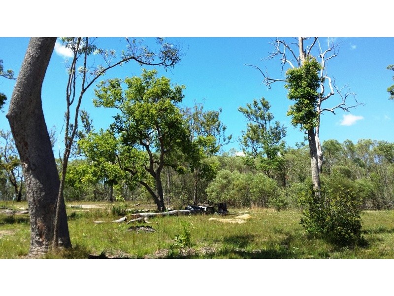Lot 7 Rogan Bridge Road, Copmanhurst NSW 2460