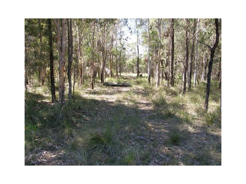 575 Dinjerra Road, Glenugie NSW 2460