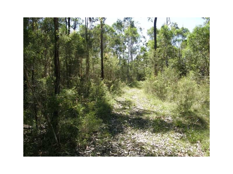 575 Dinjerra Road, Glenugie NSW 2460