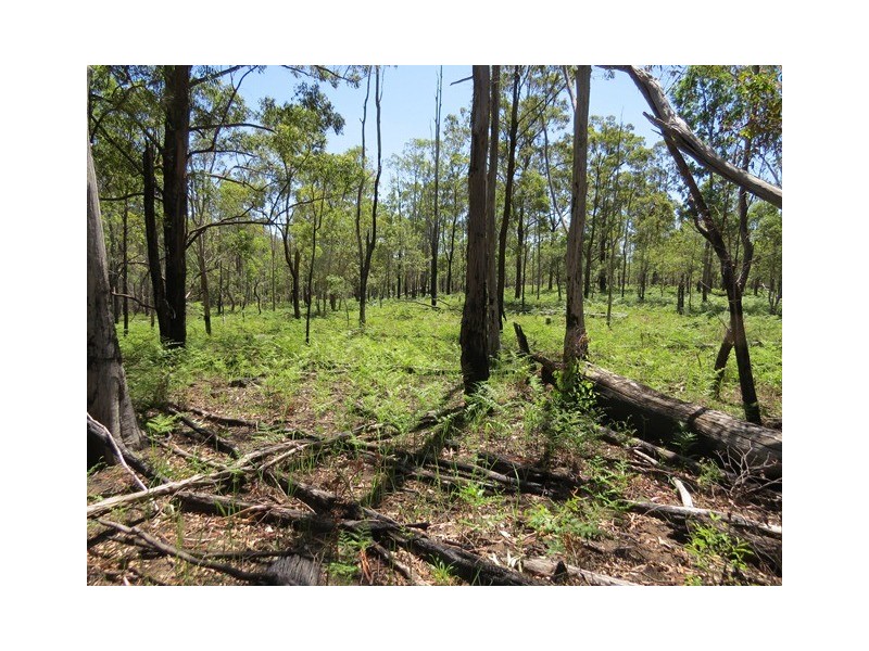 Lot 341 Kangaroo Creek Road, Kangaroo Creek NSW 2460